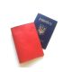 Обложка на паспорт DEKEY 1.0 красная